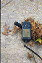 #4: GPS photo with autumn leaves