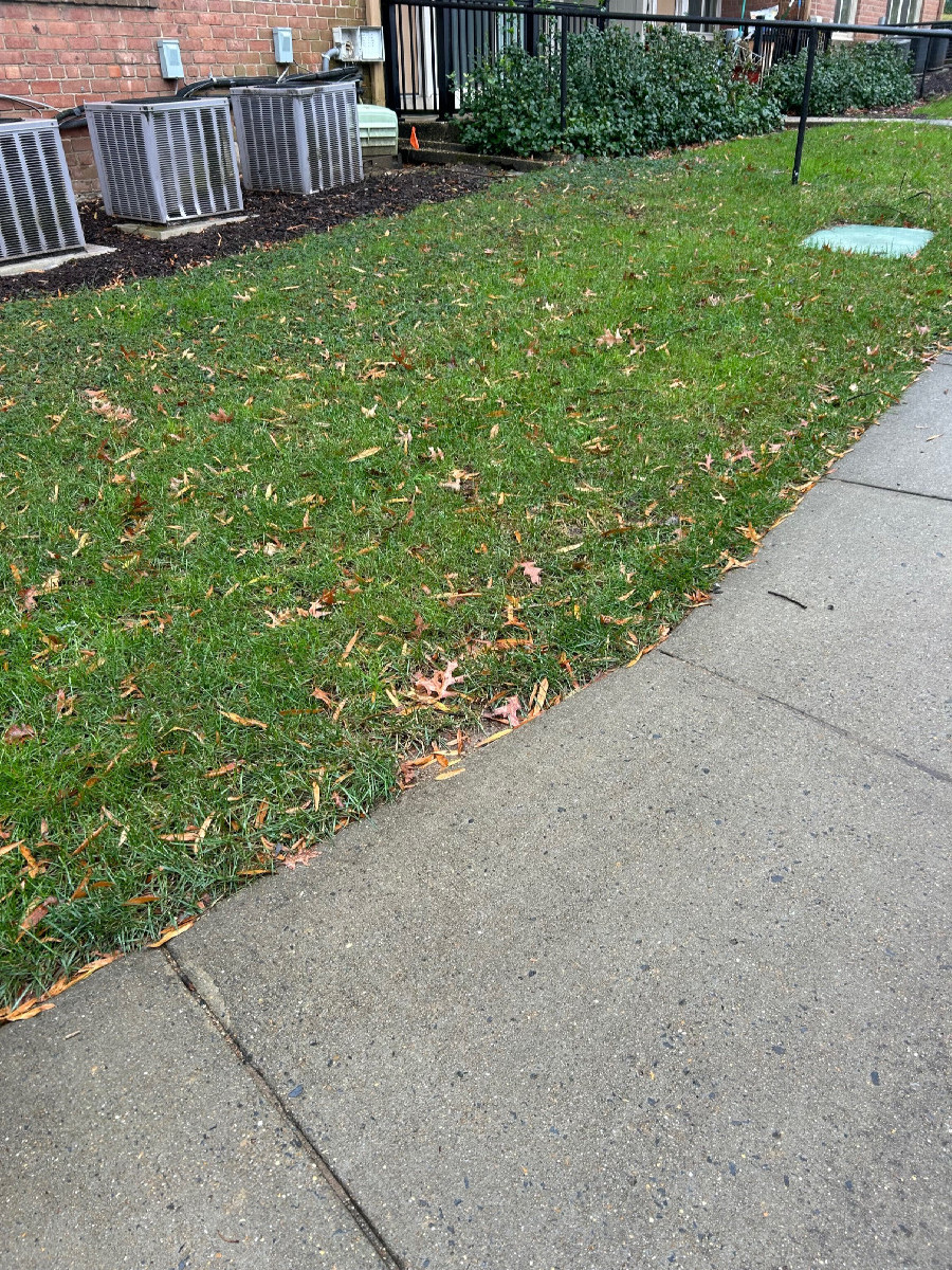 An overview of the confluence looking southwest at it (the closest outdoor approach would be among the A/C units in the mulch)