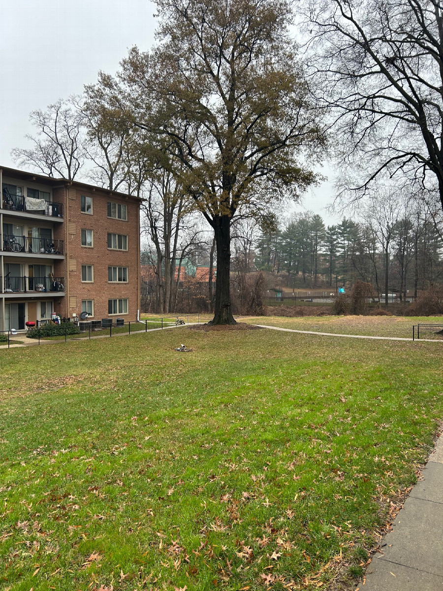 A view to the east from the confluence, toward a park.