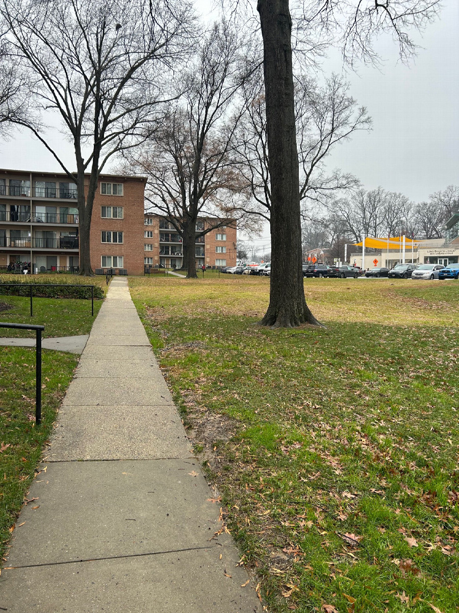 A view to the west from the confluence, roughly toward the library.