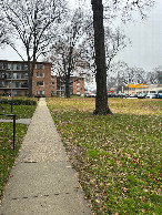 #5: A view to the west from the confluence, roughly toward the library.