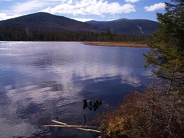 Bald and The Brother Mtns from Center Pond