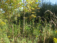 #2: View to the north