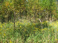 #5: View to the west