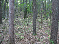 #4: View to the south