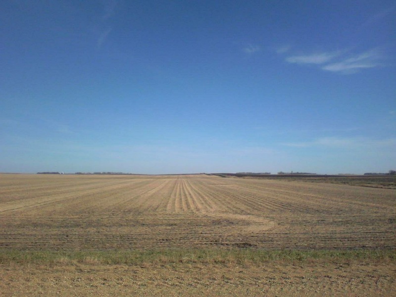 Looking east at a harvested soybean field