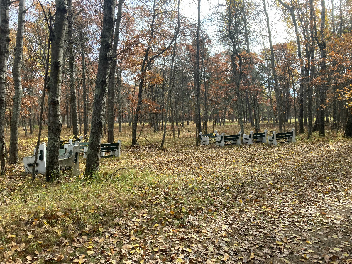 Bench herd encounter, 80 meters southeast of 47N 95W
