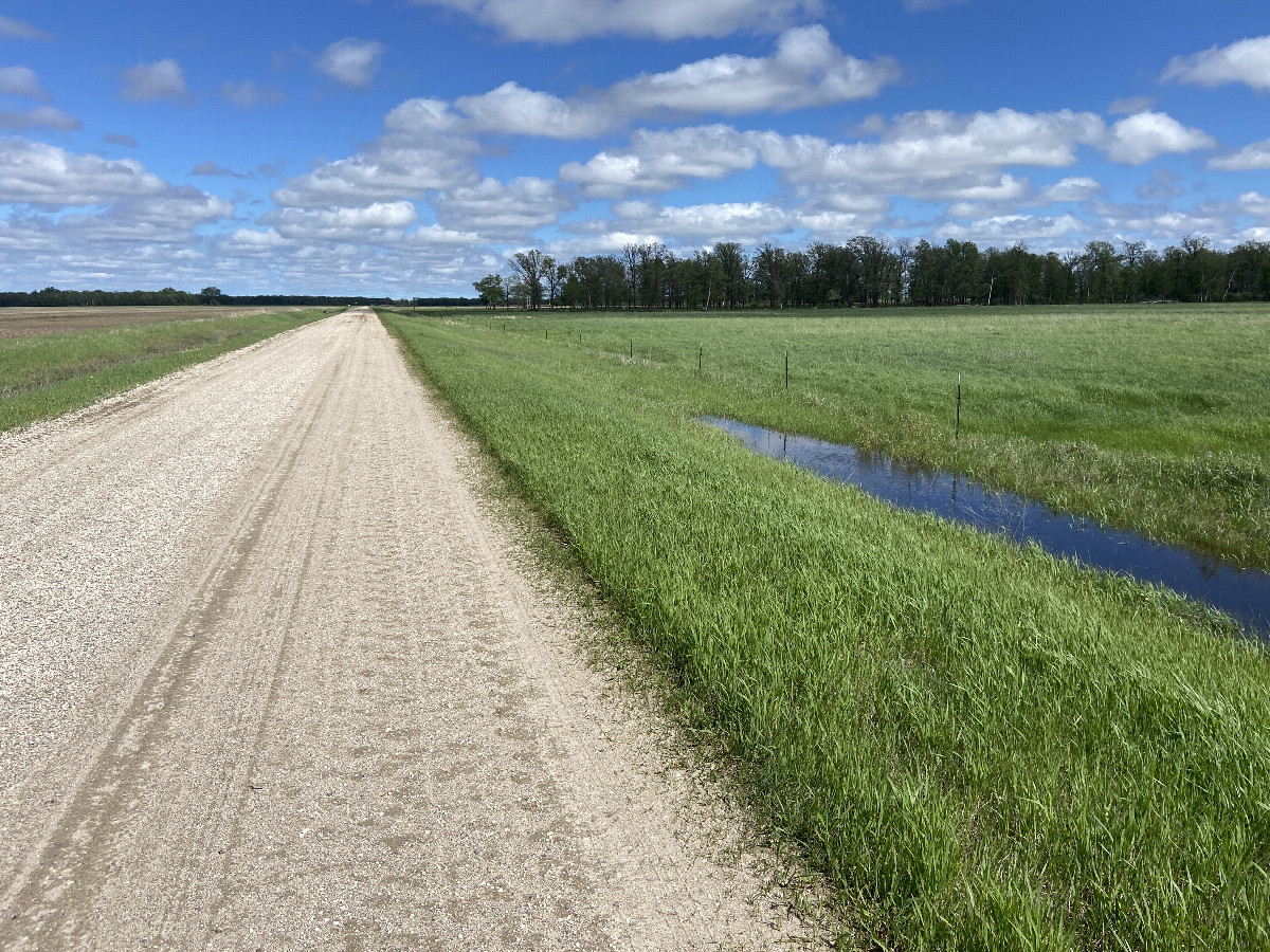 Closest road to the confluence point, looking east.