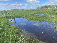 #10: Very wet travers afthe confluence point.  