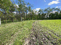 #9: Closest fields, the confluence point, looking south, about 80 m northwest of the point.