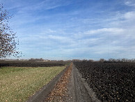 #8: Looking north on the farm path, about 600 meters south of 48N 97W