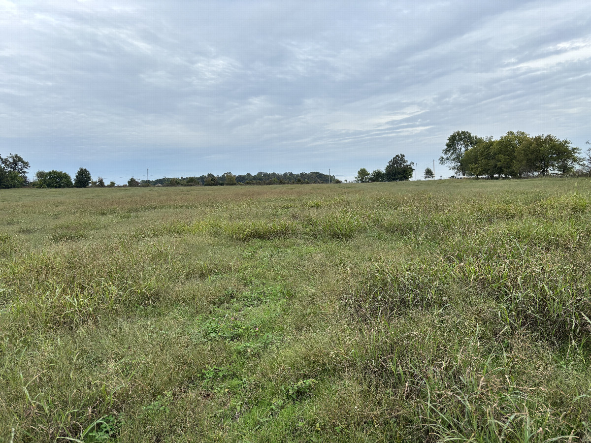 A view to the east from the confluence point.  