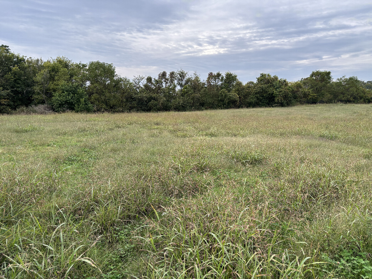 A view to the west from the confluence point.