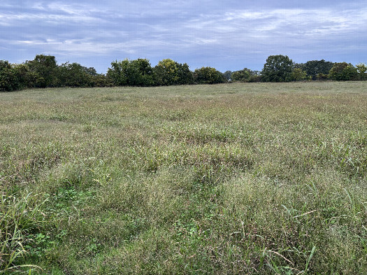 #1: The confluence point lies in the foreground of this photo looking northwest. 