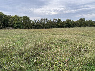 #5: A view to the west from the confluence point.