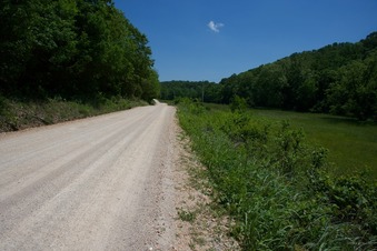 #1: View East (along Coffey Hollow Road)