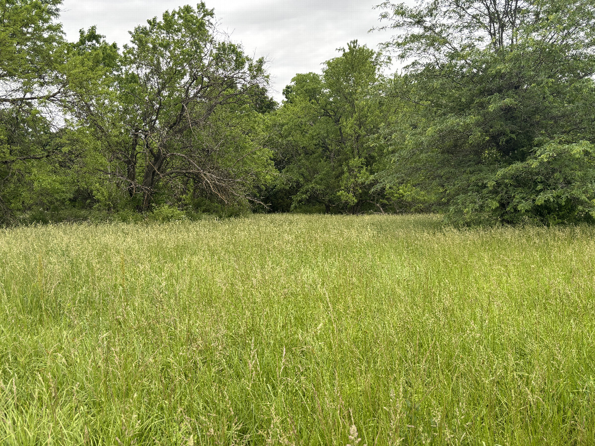A view to the north from the confluence point. 