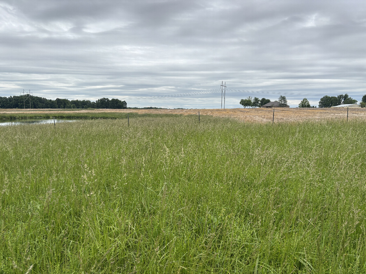 A view to the south from the confluence point. 