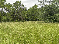 #2: A view to the north from the confluence point. 