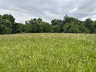 #3: A view to the east from the confluence point.