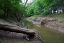 #2: View North (along the creek)