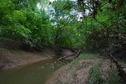#3: View East (along the creek)