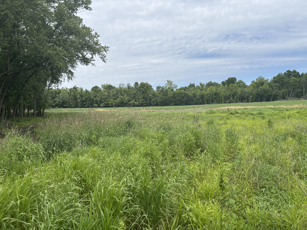 Looking to the north from the confluence point.