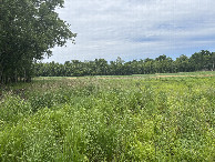 #2: Looking to the north from the confluence point.
