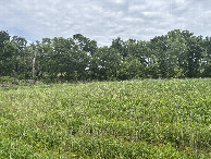 #3: A view to the east from the confluence point.