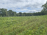 #4: A view to the south from the confluence point. 