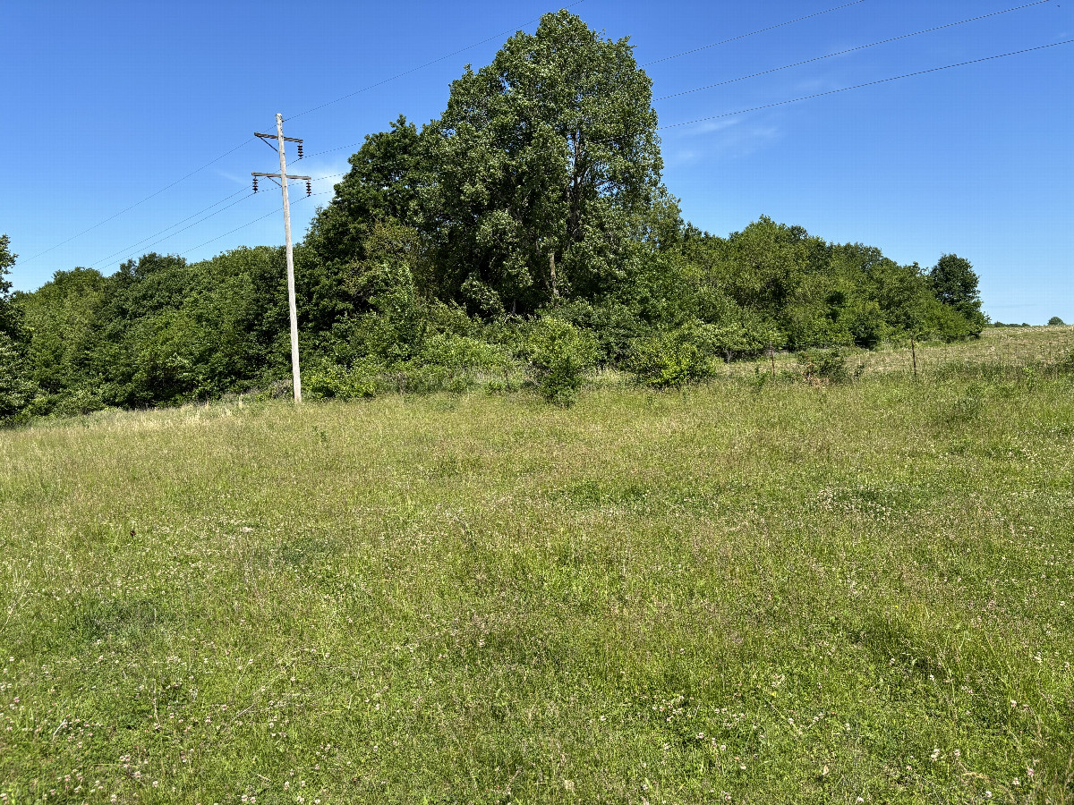 The confluence lies in the foreground of this photo toward the northwest. 