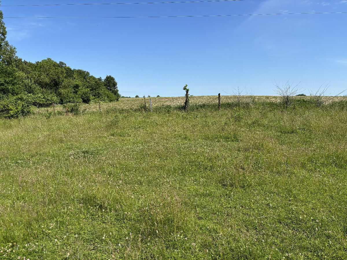 A view to the north from the confluence site. 