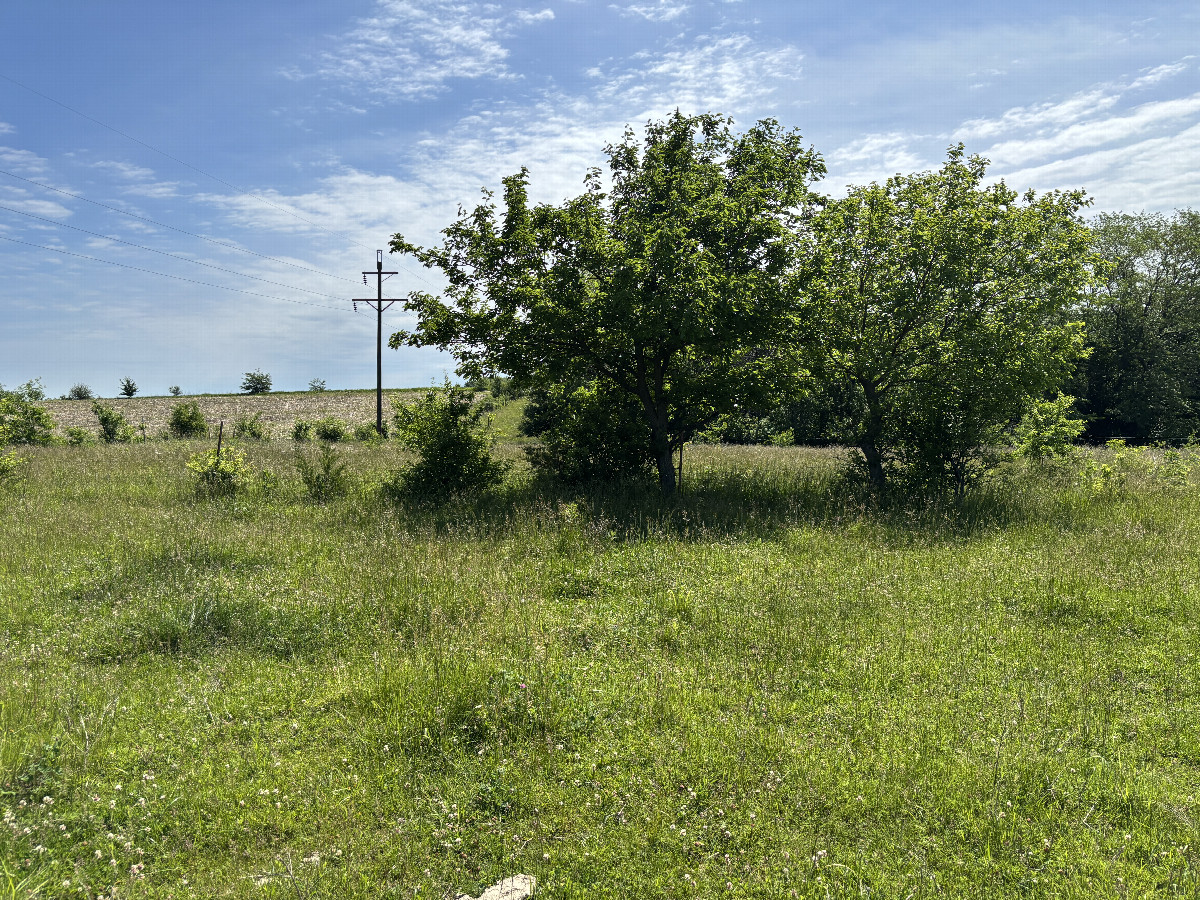 A view to the east from the confluence point. 