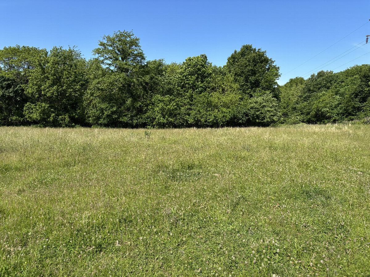 A view to the west from the confluence point. 
