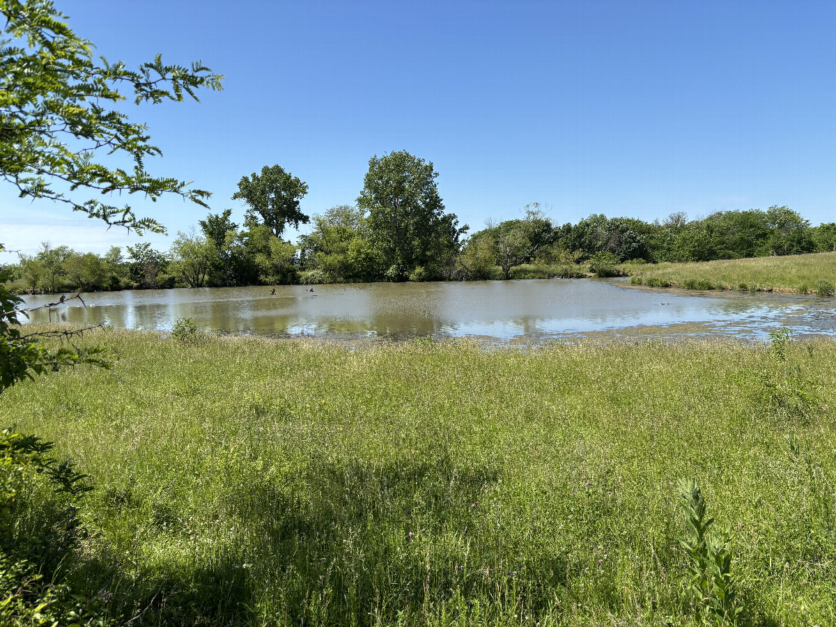 Pond south east of the confluence point.