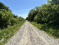 #12: Nearest route to the confluence point looking east.