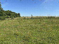 #2: A view to the north from the confluence site. 