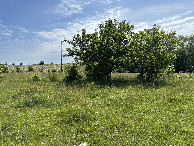 #3: A view to the east from the confluence point. 