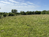 #4: A view to the south from the confluence point. 