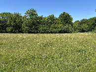 #5: A view to the west from the confluence point. 