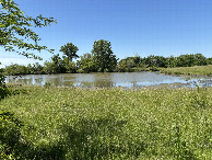 #9: Pond south east of the confluence point.