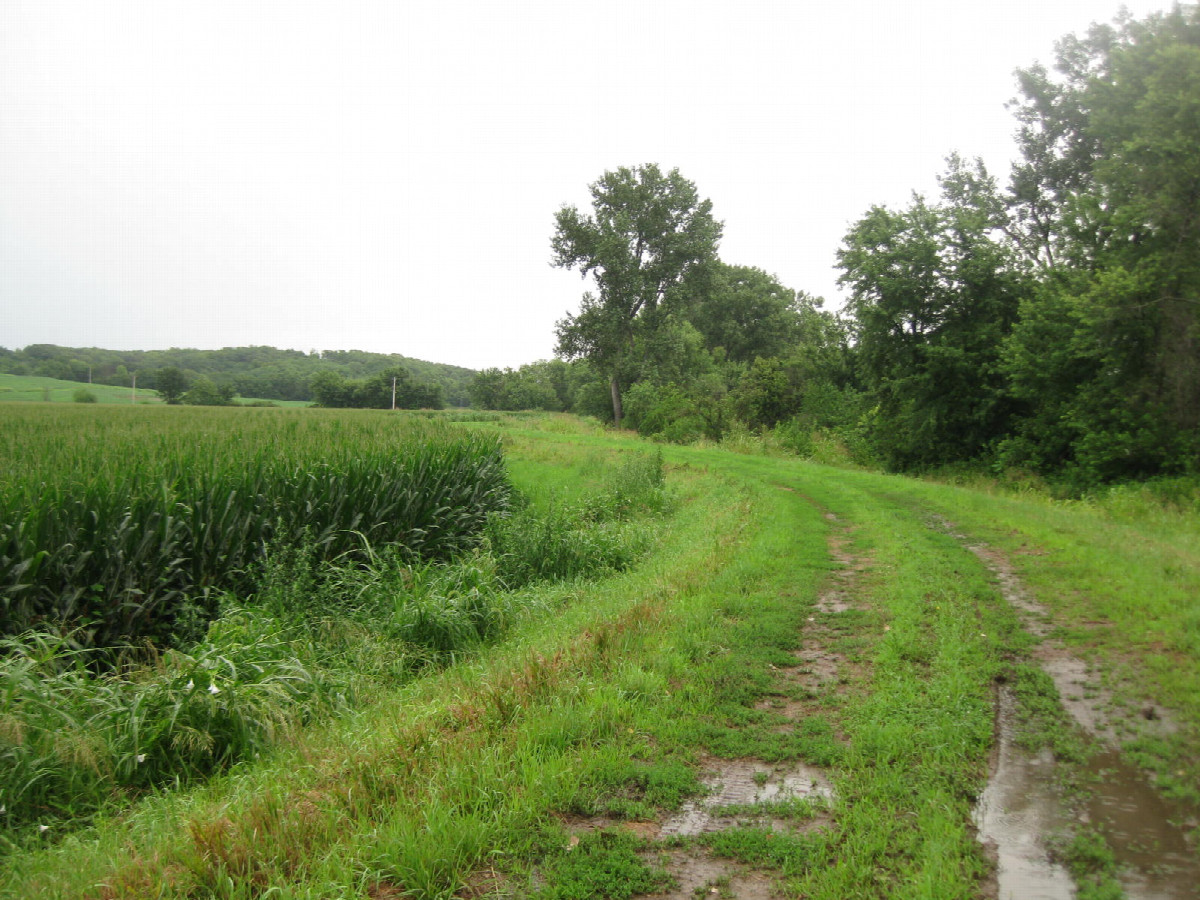 View eastward on the walk back out