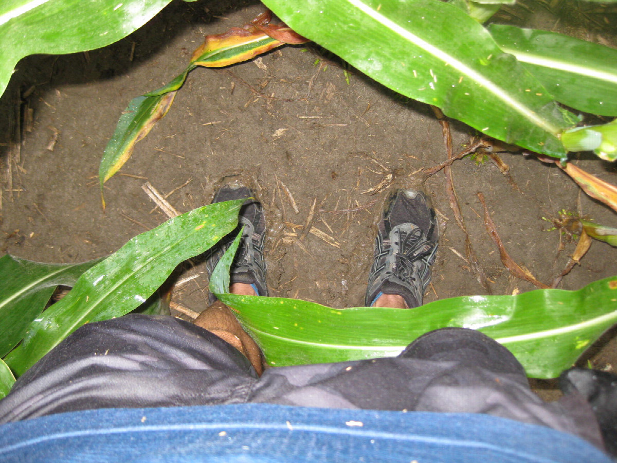 Sinking down in the mud at the point