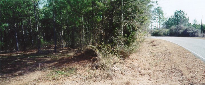 Looking south along the road.  The actual spot is on the left side of this image.