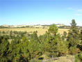 #4: North view from the hill just above the confluence