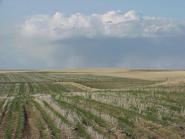 View from the confluence site looking north-northeast across Big Sky Country--Montana.