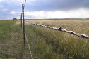 #7: Fence view about 150 meters south of the confluence point, looking west.