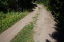 #5: The confluence point lies on this doubletrack road, in the Lewis and Clark National Forest