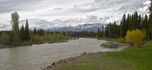 #8: Blackfoot River (North Fork), just west of the confluence point
