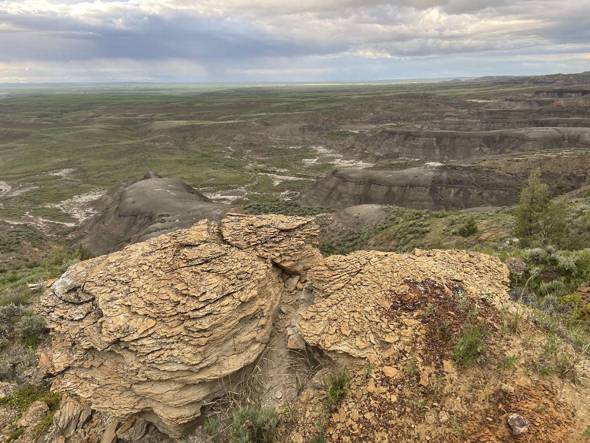 A better view to the northwest from the confluence point. 